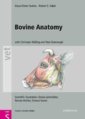 Cover: Bovine Anatomy - Schl&uuml;tersche