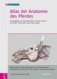 Abbildung von: Atlas der Anatomie des Pferdes - Schlütersche