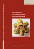 Cover: Ausgrabungen im Niederlausitzer Braunkohlenrevier 2009/2010 - Brandenburgisches Landesamt f&uuml;r Denkmalpflege