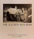Cover: Die Katzen von Rom - Tecklenborg, B