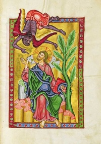 Enlarge image Cover: Der Bamberger Psalter - Reichert Verlag