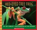 Cover: Red-Eyed Tree Frog - Scholastic US