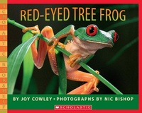 Enlarge image Cover: Red-Eyed Tree Frog - Scholastic US
