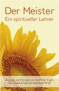 Cover: Der Meister: Ein spiritueller Lehrer - Edition NAAM