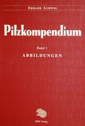Cover: Pilzkompendium. Band 1. Die kleineren Gattungen der Makromyzeten... / Pilzkompendium. Band 1. Die kleineren Gattungen der Makromyzeten... - IHW-Verlag