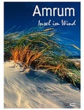 Cover: Amrum - Insel im Wind - Quedens Verlag