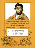 Cover: Die Grabalterth&uuml;mer der Burgunden, Franken und Alamannen aus den ersten Zeiten des Christenthums - Heimatverein Kraichgau