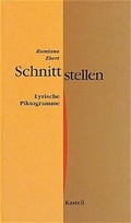 Cover: Schnittstellen - Kastell