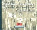 Cover: Disegnato con la luce - Arbeitskreis selbst&auml;ndiger Kultur-Inst.