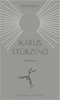 Bild: Ikarus, st&uuml;rzend - Verlag litblockin