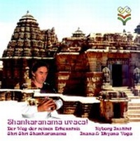 Abbildung von: Shankaranama uvaca! - Kyborg Institut & Verlag