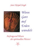 Cover: Wenn Gott auf Erden wandelt - Divyanand
