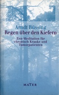Cover: Regen &uuml;ber den Kiefern - Info 3