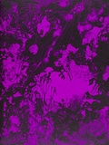 Cover: Simonia unrasiert - material-Vlg