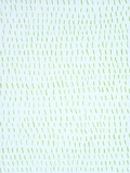 Cover: Passo doble - material-Vlg