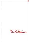 Cover: Paul Antonius - "Bildh&auml;ute - Arbeiten aus 4 Jahren 1987-1991" - Stiftung Dr. Walter Bruch