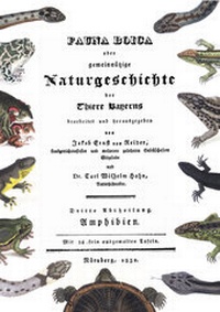 Abbildung von: Fauna Boica oder gemeinnützige Naturgeschichte der Thiere Bayerns - Chimaira