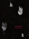 Cover: Licht, L&uuml;ster - Black Ink