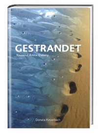 Abbildung von: Gestrandet - Kinzelbach, Donata