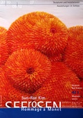 Cover: Sun Rae Kim - Seerosen - Stadt Arolsen. Museum