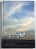 Cover: Spiegelungen - Siedentop, U