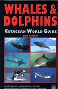 Cover: Whales & Dolphins - Cetacean World Guide - ConchBooks