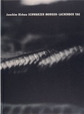Cover: Schwarzer Morgen - Lachender Tag - ex pose