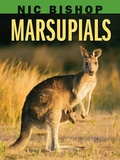 Cover: Nic Bishop: Marsupials - Scholastic US