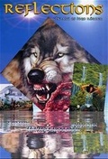 Cover: Reflections - Bussert u. Stadeler