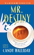 Cover: Mr Destiny - Forever