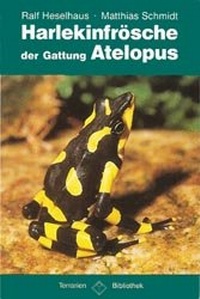 Abbildung von: Harlekinfrösche der Gattung Atelopus - Natur und Tier