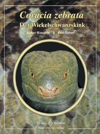 Abbildung von: Corucia zebrata - Natur und Tier