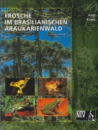 Abbildung von: Frösche im brasilianischen Araukarienwald - Natur und Tier
