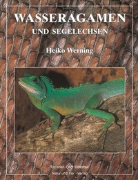Abbildung von: Wasseragamen und Segelechsen - Natur und Tier