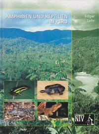 Abbildung von: Amphibien und Reptilien in Peru - Natur und Tier