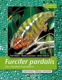 Abbildung von: Furcifer pardalis - Das Pantherchamäleon - Natur und Tier