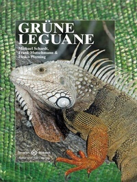 Abbildung von: Grüne Leguane - Natur und Tier