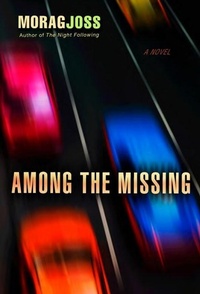 Enlarge image Cover: Among the Missing - Delacorte Press