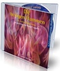 Cover: Die Heiligen Flammen - Lippert, Renate
