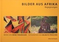 Cover: Bilder aus Afrika - Begegnungen - Pongratz, T