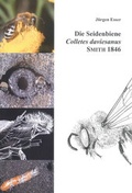 Cover: Die Seidenbiene Colletes daviesanus Smith 1846 - NIBUK