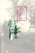 Cover: Paul Celan bei Martin Heidegger in Todtnauberg - Deutsche Schillerges.