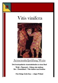Cover: Vitis vinifera - Arzneimittelpr&uuml;fung Wein - Fagus-Verlag