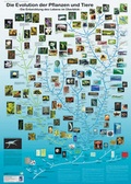 Cover: Die Evolution der Pflanzen und Tiere - Planet Poster Editions