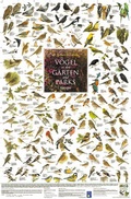 Cover: V&ouml;gel in den G&auml;rten und Parks Europas - Planet Poster Editions