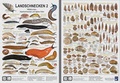 Cover: Landschnecken 2 - Planet Poster Editions