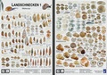 Cover: Landschnecken 1 - Planet Poster Editions