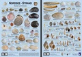 Cover: Nordsee-Strand - Planet Poster Editions