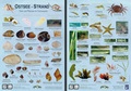 Cover: Ostsee-Strand - Planet Poster Editions