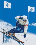 Cover: Wintersport in Gastein - Hochwarter, F